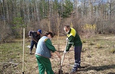 Работники Уфимского лимонария приняли участие в экологических акциях