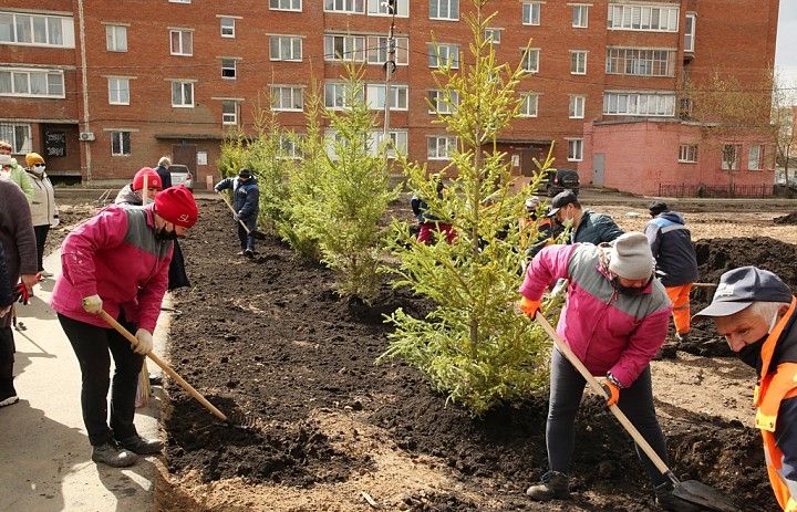 В сквере «Памяти» микрорайона Шакша посадили 16 елей