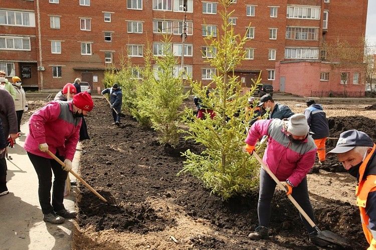 В сквере «Памяти» микрорайона Шакша посадили 16 елей