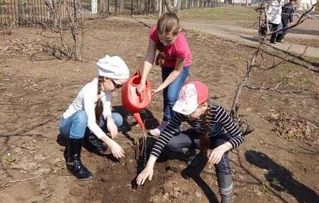 В школе №37 состоялась акция «Каштановая аллея»