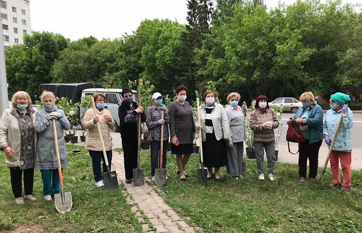 Октябрьцы  приняли  участие  в  посадке аллеи «Женское  лицо Победы»