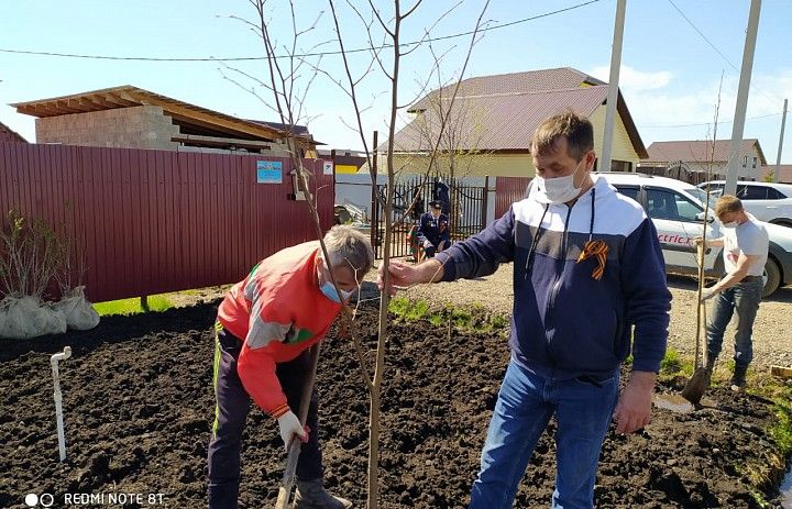 В Нагаево под окнами дома ветерана Великой Отечественной войны зародилась аллея